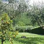 Gonda&giuliano