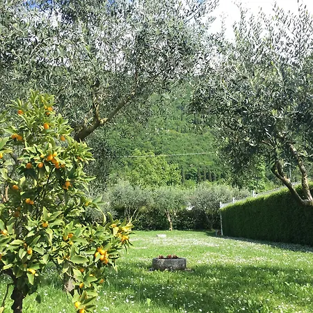 Gonda&giuliano